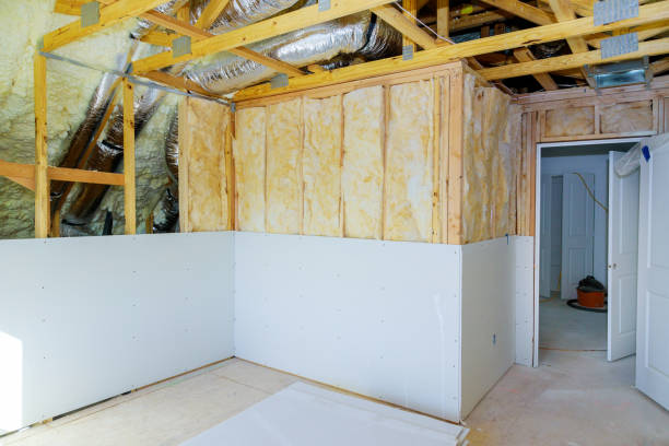 Best Geographic-Specific Insulation Services in Belmar, NJ